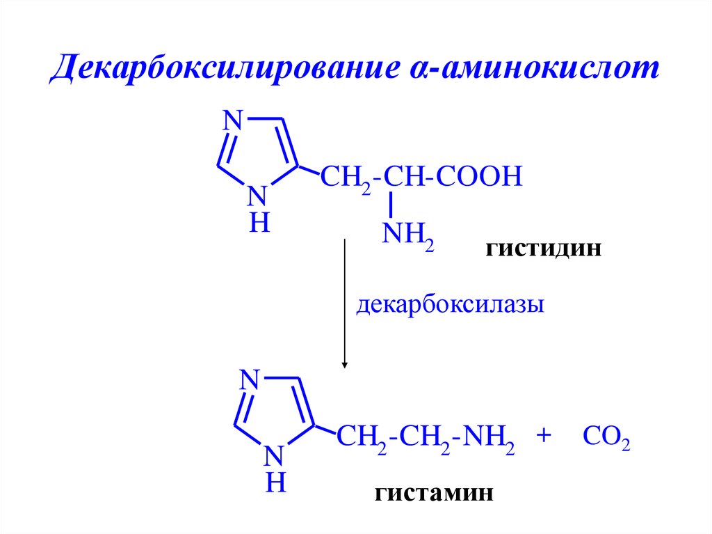 Декарбоксилирование аминокислот реакция. Декарбоксилирование гистидина реакция. Реакция декарбоксилирования аминокислоты гистидина. Реакция декарбоксилирования аминокислот гистамин. Схемы реакций декарбоксилирования аминокислот.
