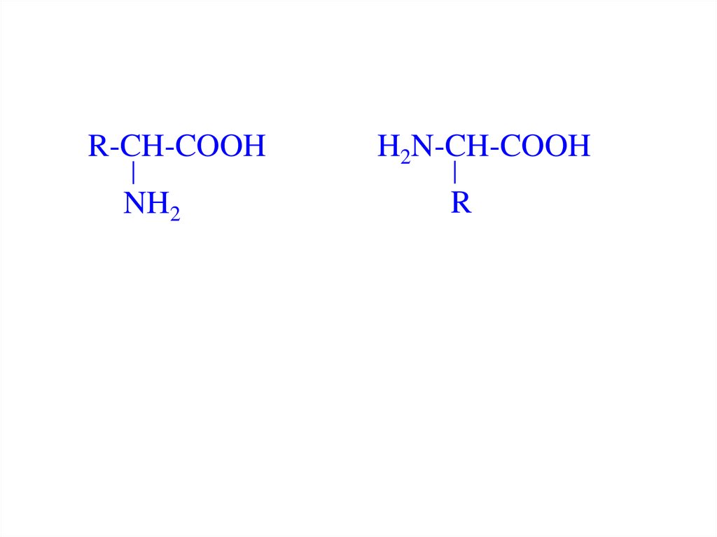 Сн3 cooh. H2n Ch r Cooh. H2n-ch2-Cooh. Аминокислоты пептиды белки. H2n-Ch-Cooh.