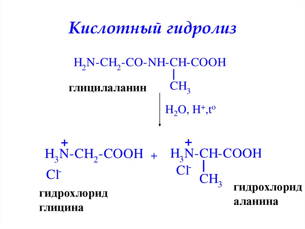 Гидролиз глицилаланина