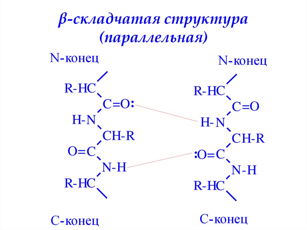 Складчатые структуры. Параллельная и антипараллельная бета структуры. Параллельная структура. Параллельная бета структура.