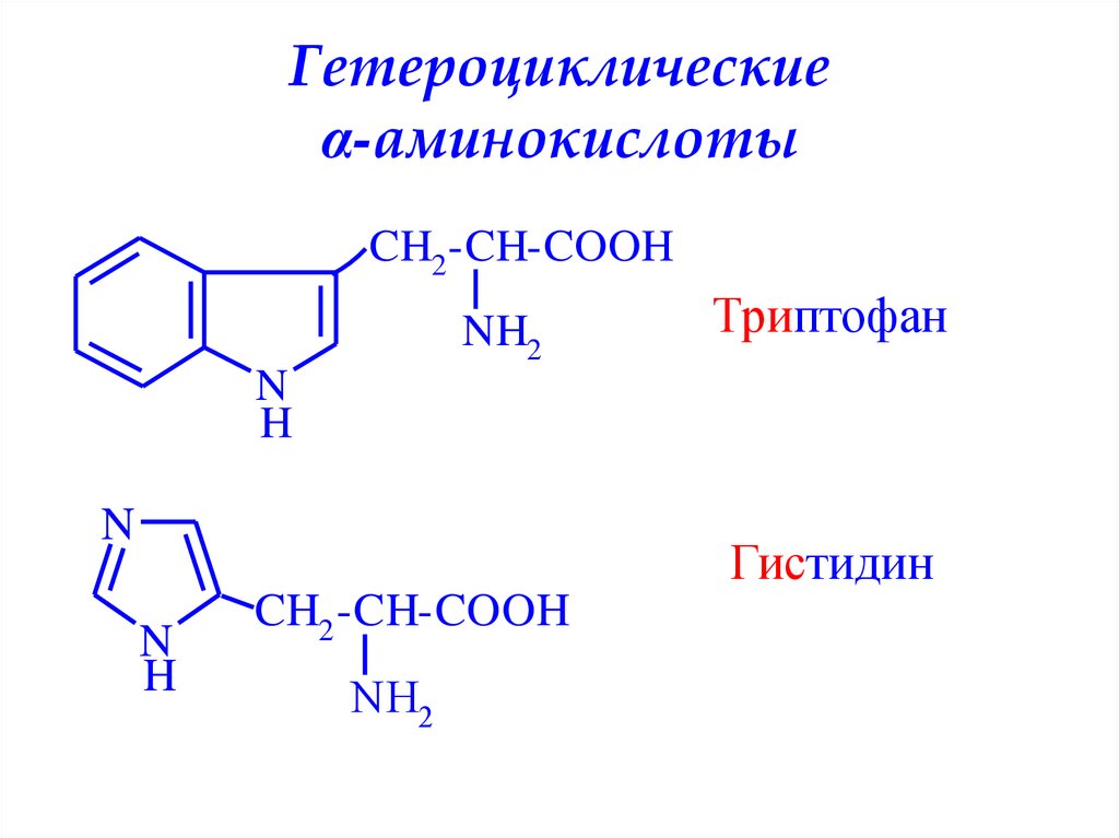 Гетероциклические α-аминокислоты