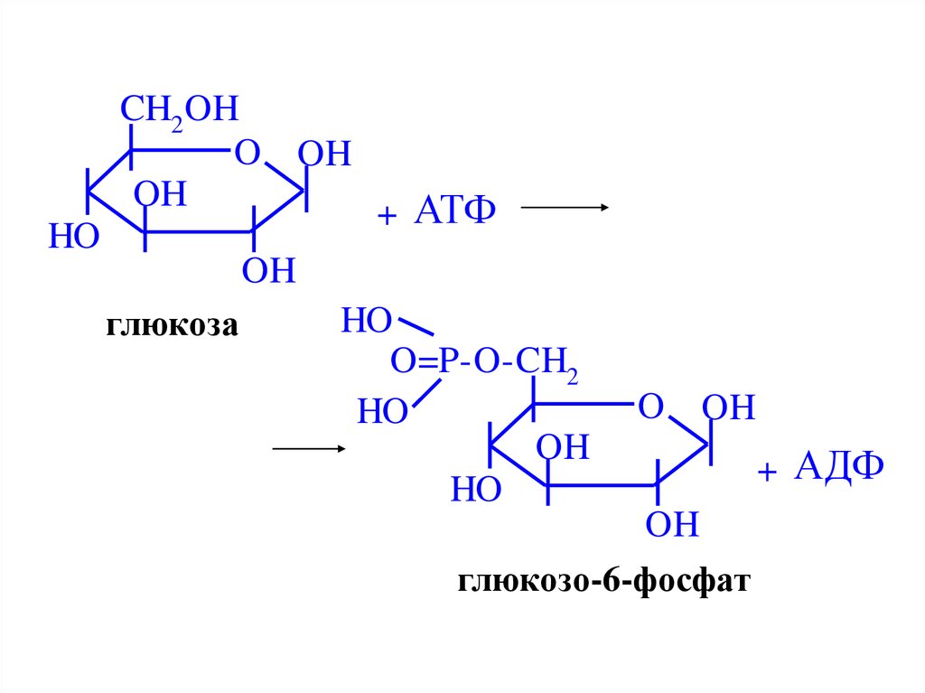 Атф глюкоза адф. Глюкоза АТФ глюкозо-6-фосфат АДФ. Глюкоза в глюкозо 6 фосфат. АТФ--->АДФ Глюкоза --------------> глюкозо-6-фосфат фермент катализирующий. Глюкоза + АТФ = Глюкоза-6-фосфат.