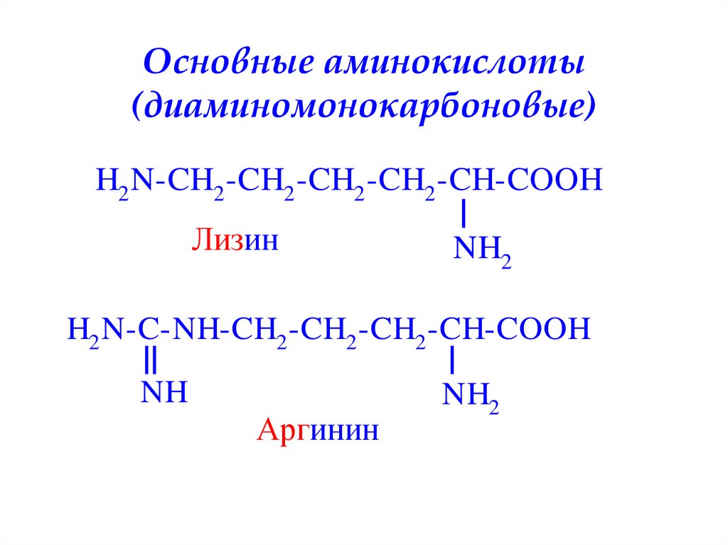 Главные аминокислоты. Структура диаминомонокарбоновых аминокислот. Формулы диаминомонокарбоновых аминокислот. Формулы основных аминокислот. Основные аминокислоты примеры.