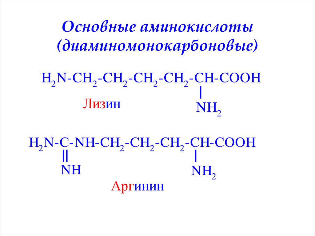 21 аминокислота. Структура диаминомонокарбоновых аминокислот. Формулы диаминомонокарбоновых аминокислот. Формулы основных аминокислот. Основные аминокислоты примеры.