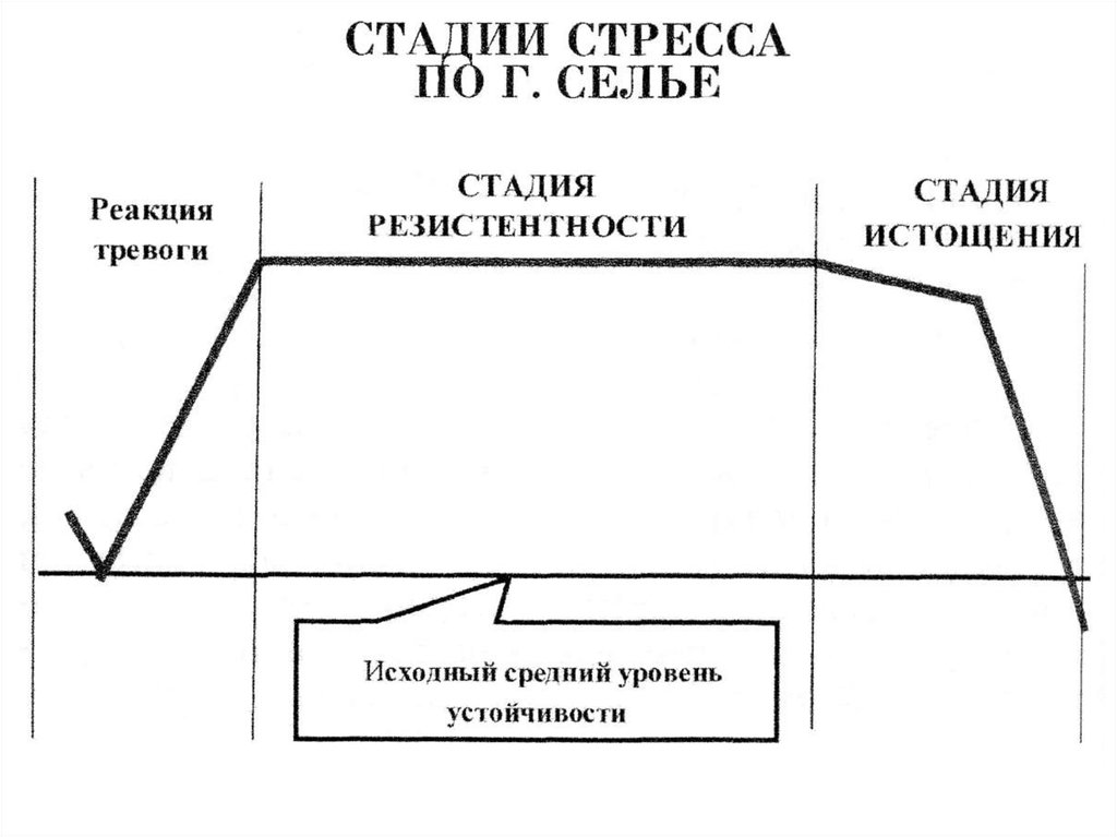 В схеме г селье автором описана такая последовательность протекания стресса