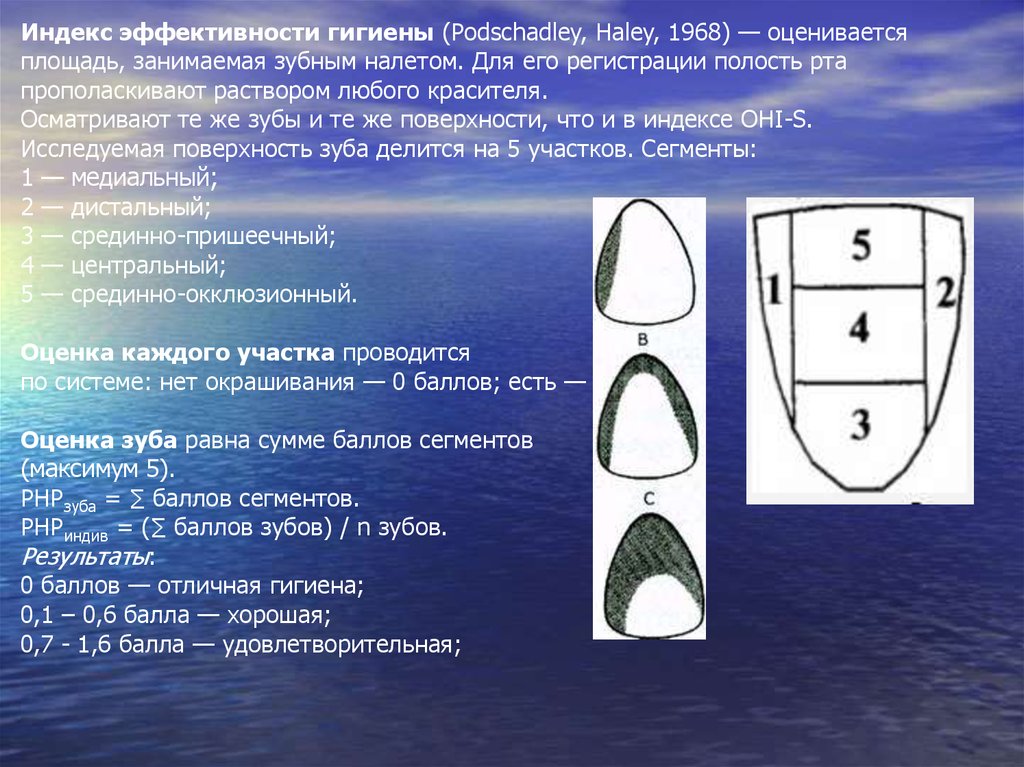 Гигиенические индексы полости