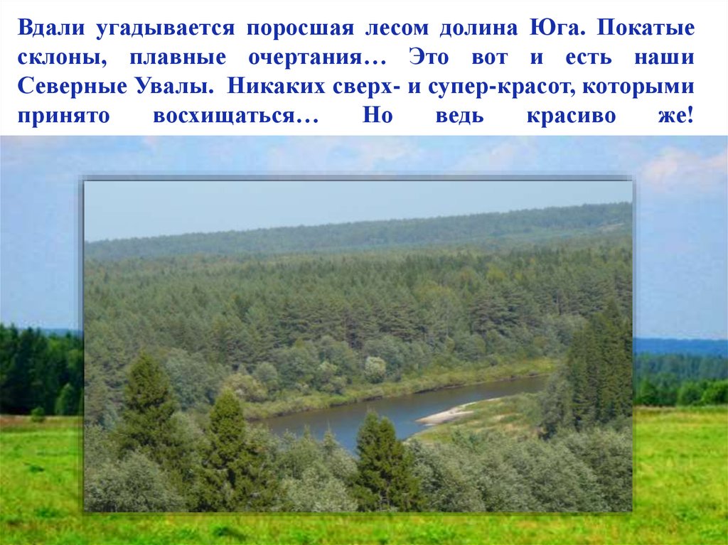 Северные увалы. Северные Увалы Вологодская область. Северные Увалы рельеф. Северные Увалы рельефа Кировской области. Северные Увалы возвышенность.