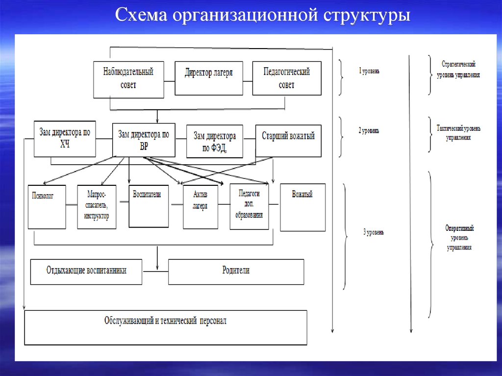 Схема организационной структуры это