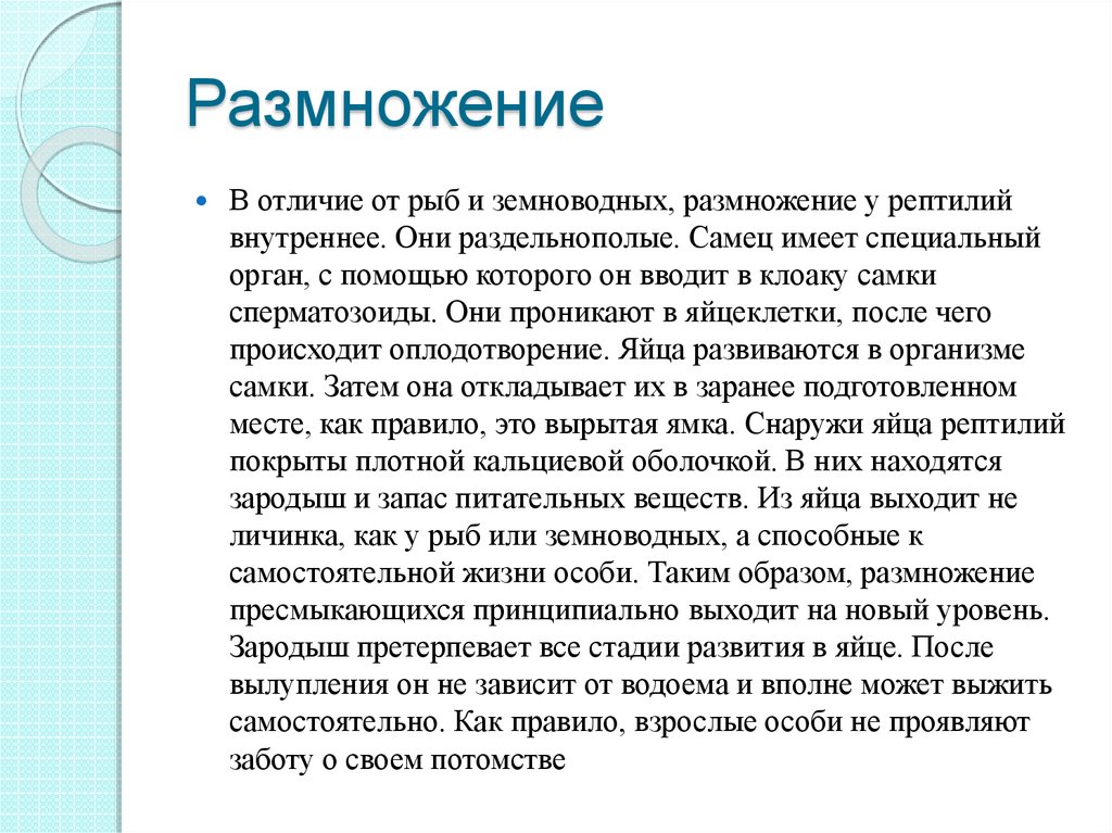 Размножение