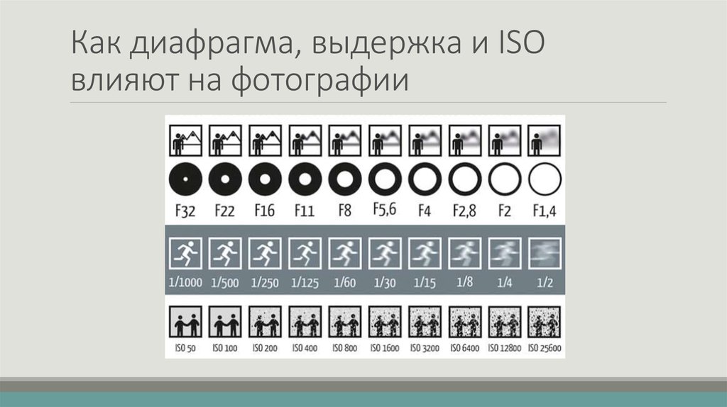 Как iso влияет на фотографию