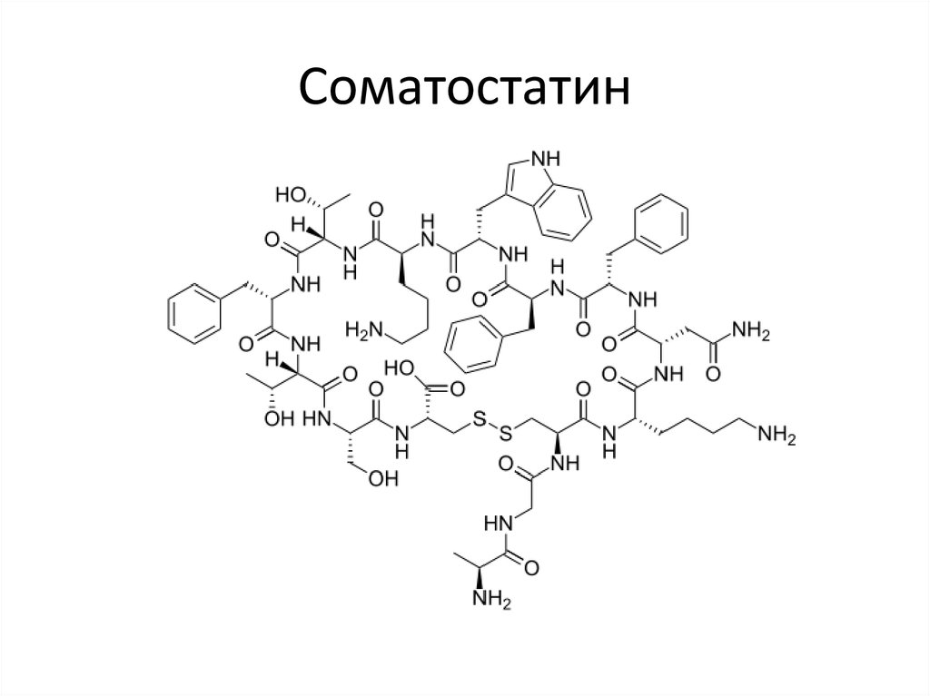 Соматостатин поджелудочной железы. Соматостатин формула структурная. Соматропин структурная формула. Соматотропин формула структурная. Гормон роста формула структурная.