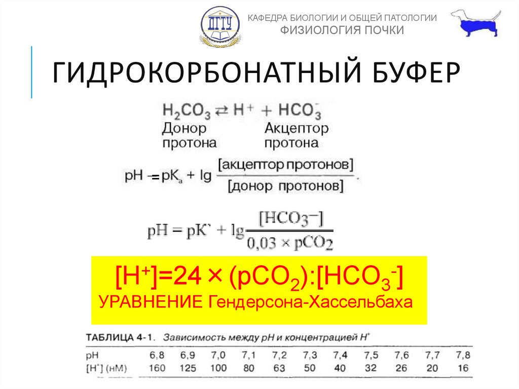 Донор протона