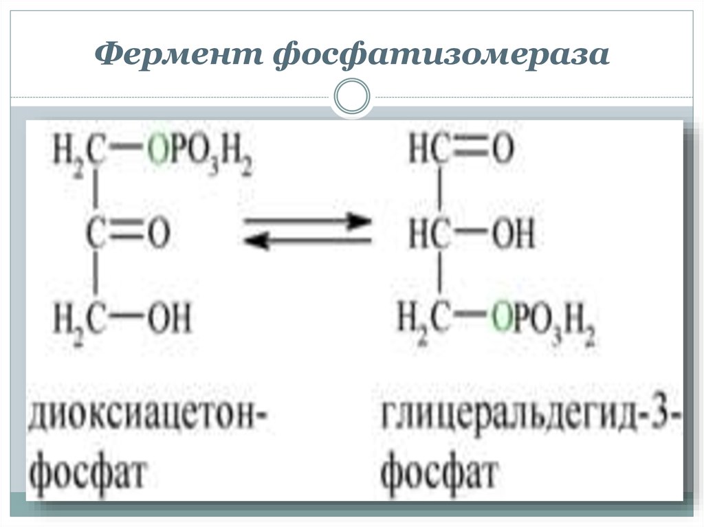 Фермент 15