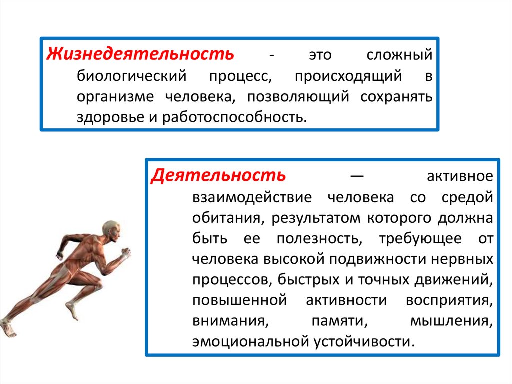 Какие жизнедеятельности вам известны. Основы процессы жизнедеятельности. Жизнедеятельность это определение. Что является основой жизнедеятельности человека. Процессы человека биология.