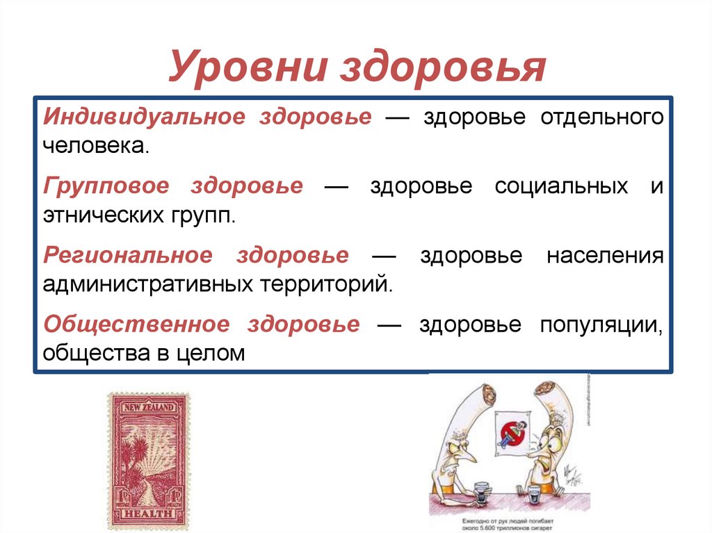 Уровни организма человека