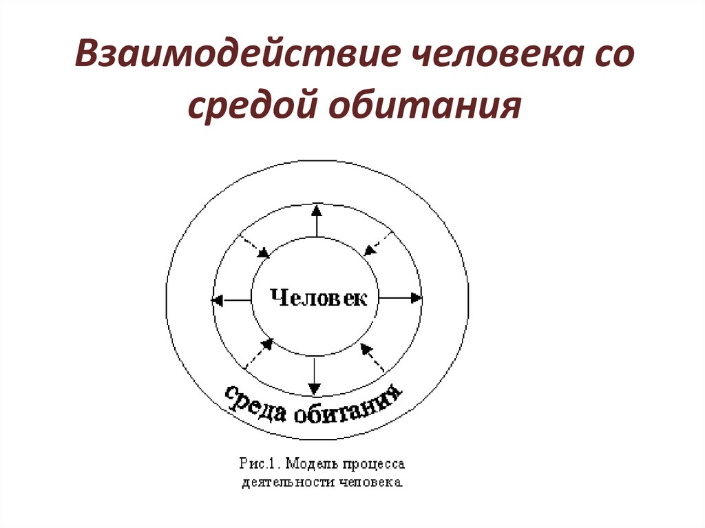 Схема взаимодействия человека со средой обитания