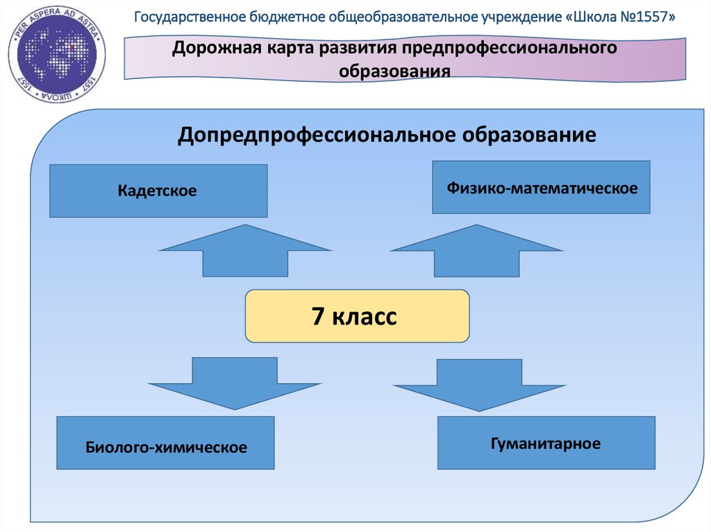 Проекты предпрофессионального образования