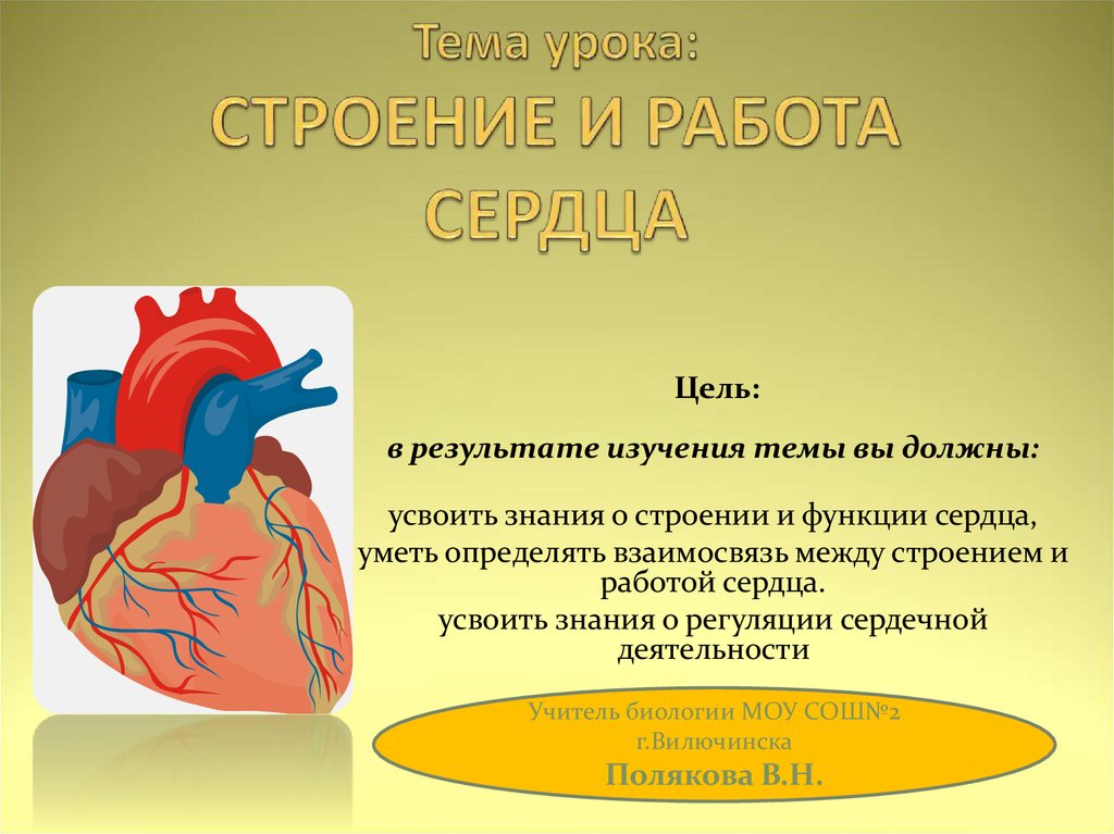 Работа сердца человека. Строение и работа сердца. Работа сердца презентация. Презентация на тему сердце. Тема урока строение и работа сердца.