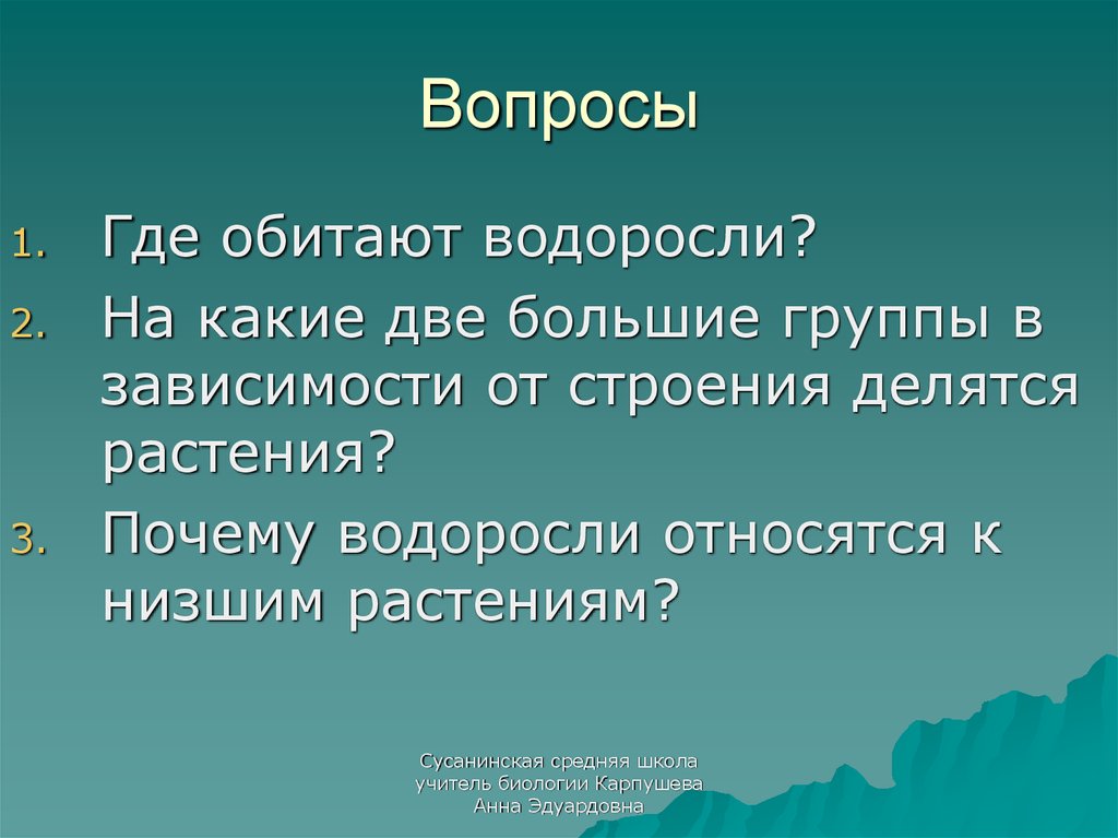 Известно что водоросли относятся к низшим растениям