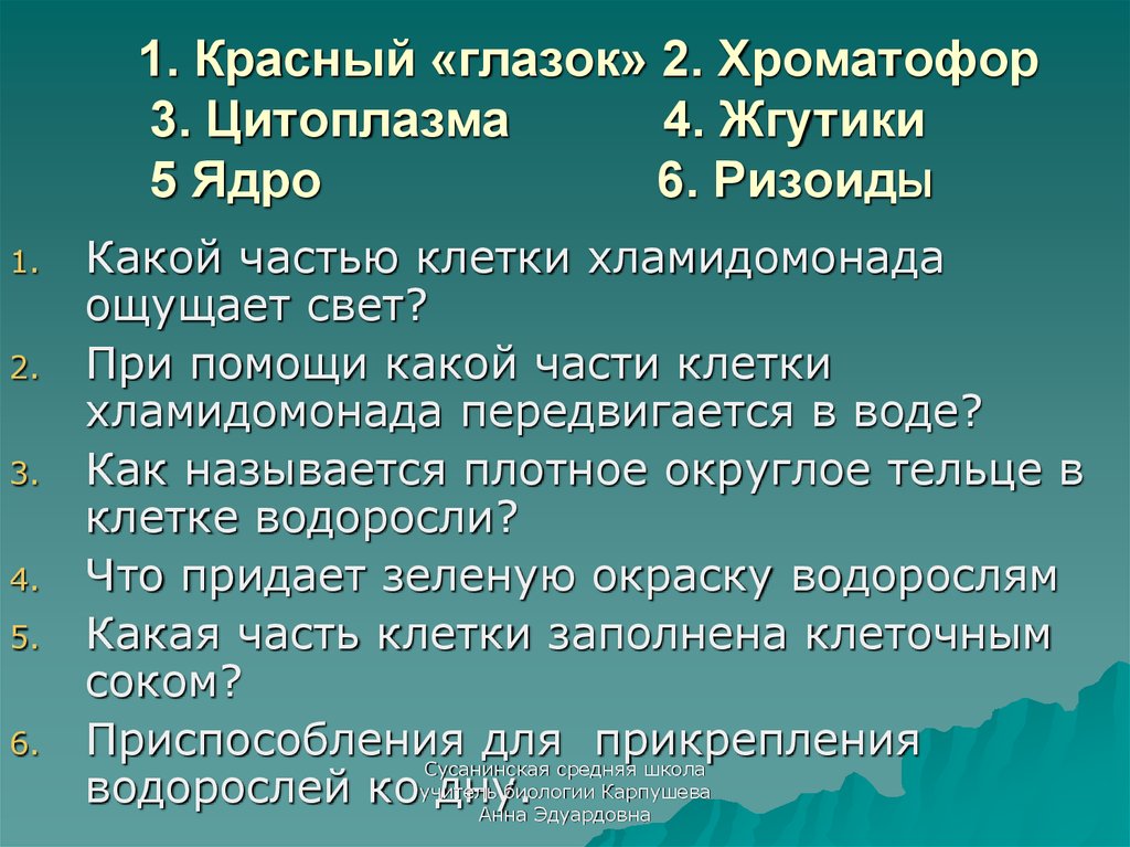 Тест биология 6 водоросли