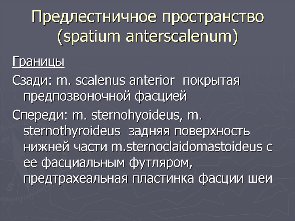 Spatium interscalenum. Межлестничное пространство Spatium interscalenum. Предлестничное пространство шеи (Spatium antescalenum):. Предлестничное пространство границы. Предлестничное пространство ограничено.