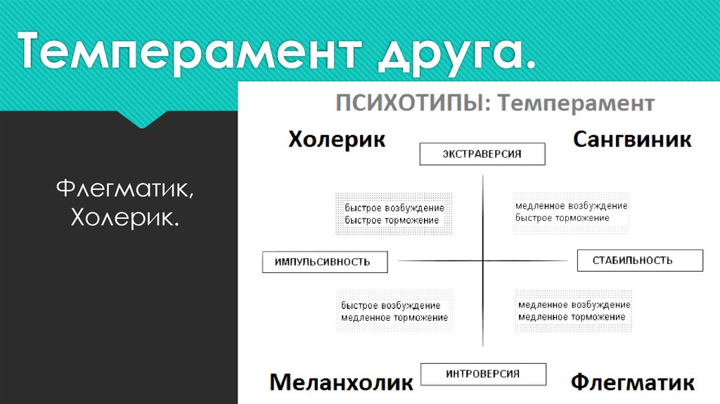 Психотип личности виды. Гибко разворотливый темперамент соционика. Психотипы личности. Типы темперамента и соционика. Психотипы холерик сангвиник.