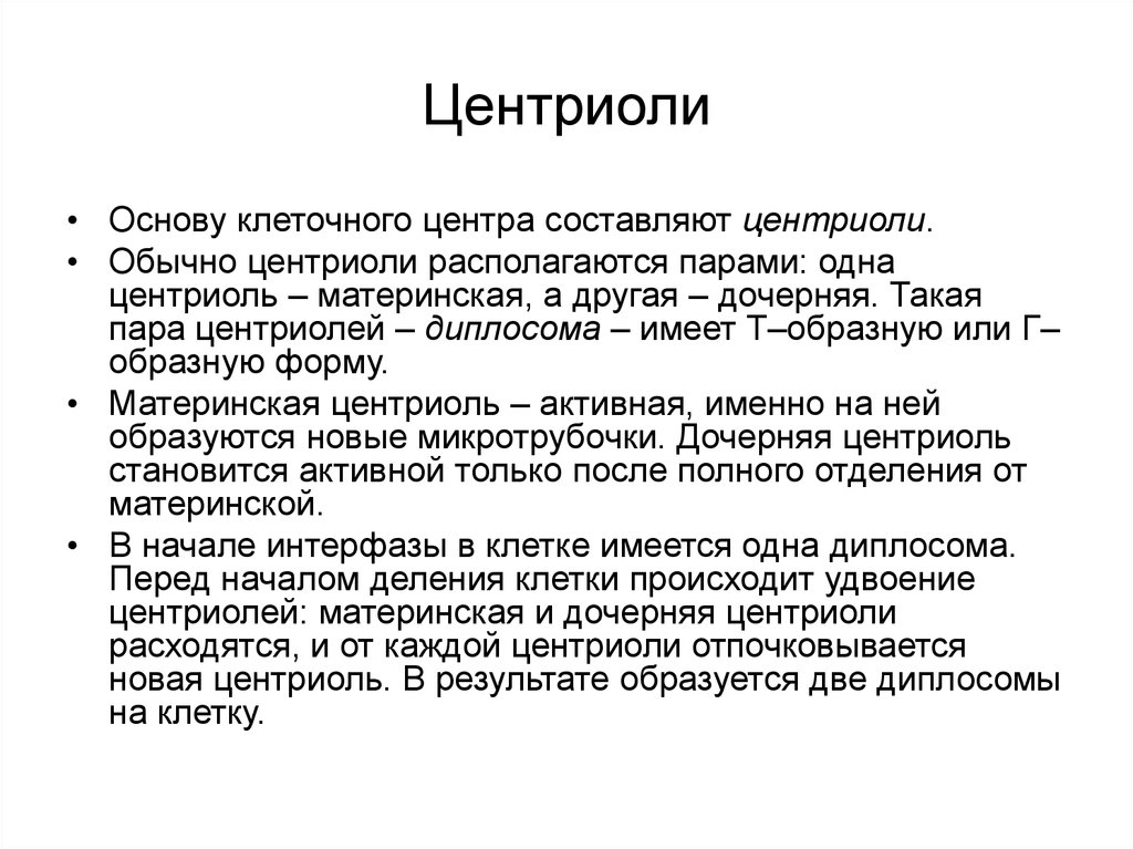 Диплосома. Основу клеточного центра составляют:. Центриоль. Диплосома образуется. Диплосома в клетке функции.