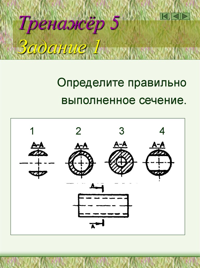 Тренажёр 5 Задание 1