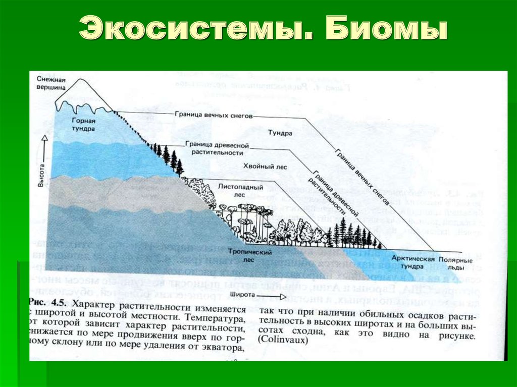 Экосистема океана схема