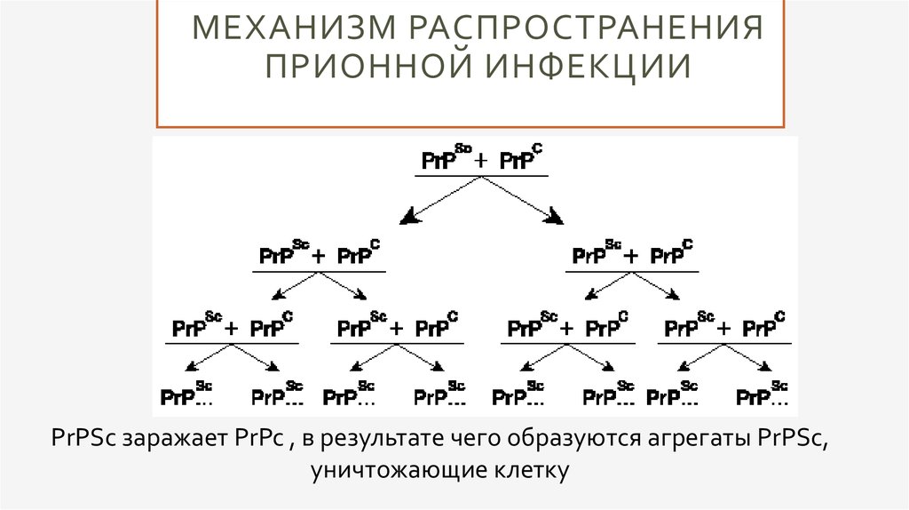 Механизм распространения. По механизму распространения п.о. различают:. Механизм распространения долей в ООО. Механизм распространения фейков.