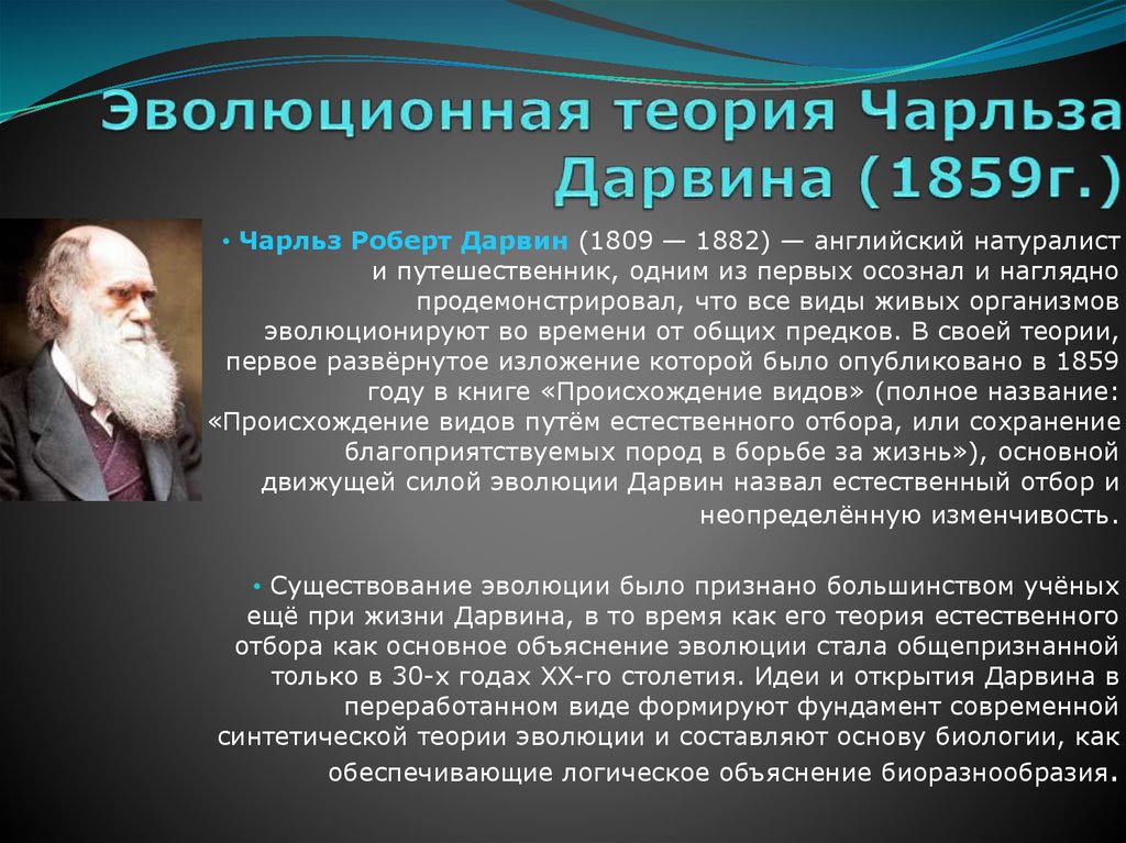 Теория ч. Дарвин Чарльз 1859г открытие. Эволюционное учение Чарльза Дарвина. Чарли Дарвин эволюцоное учение. Эволюционное учение Дарвина 1859.