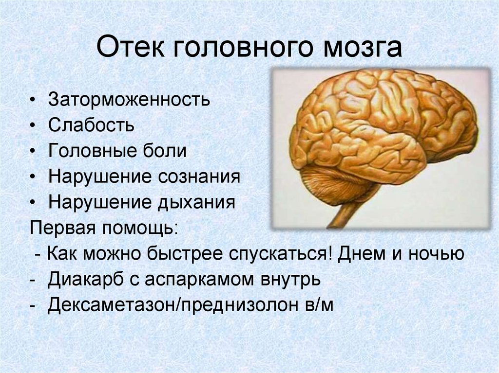 Можно головного мозга. Симптом являющийся признаком развивающегося отека головного мозга. Отек и набухание вещества головного мозга. Отёк головного мозга симптомы у взрослых причины.