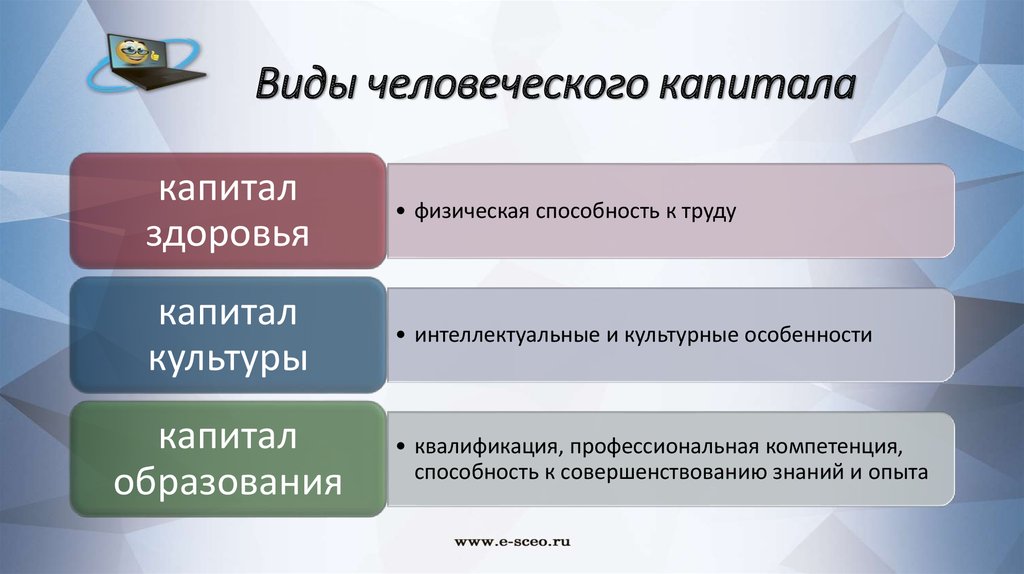 Человеческий капитал в образовании