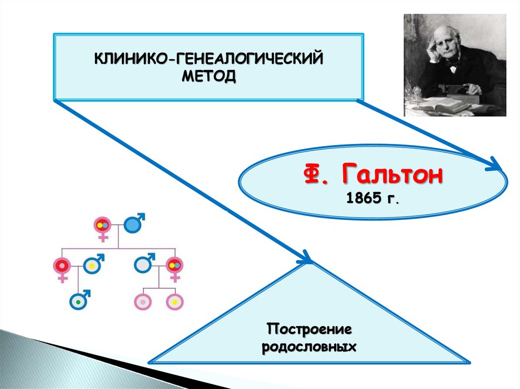 Метод ф. Гальтон генеалогический метод. Методы генетики Введение. Схема Гальтона генетика. Генеалогический анализ Гальтон.