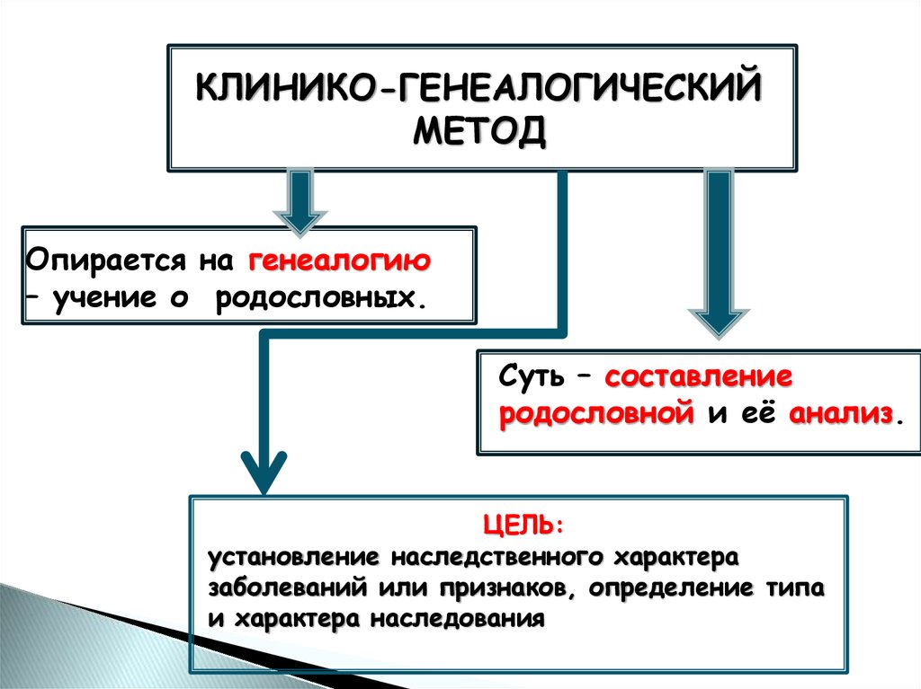 Презентация введение в генетику