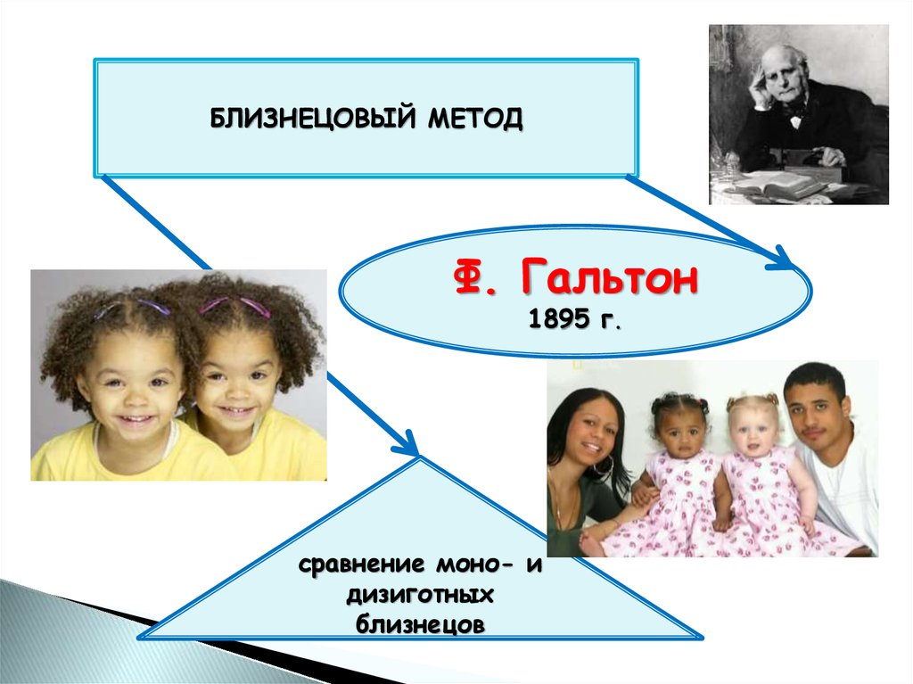 Близнецовый метод генетики презентация