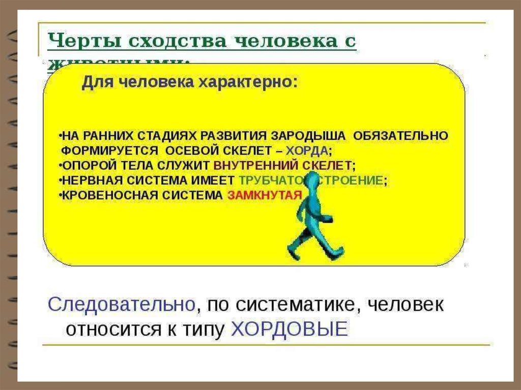 Человек относится к типу. Черты сходства человека с животными. Черты сходства человека и животного. Сходство человека с типом Хордовые. Сходства и различия человека и хордовых.