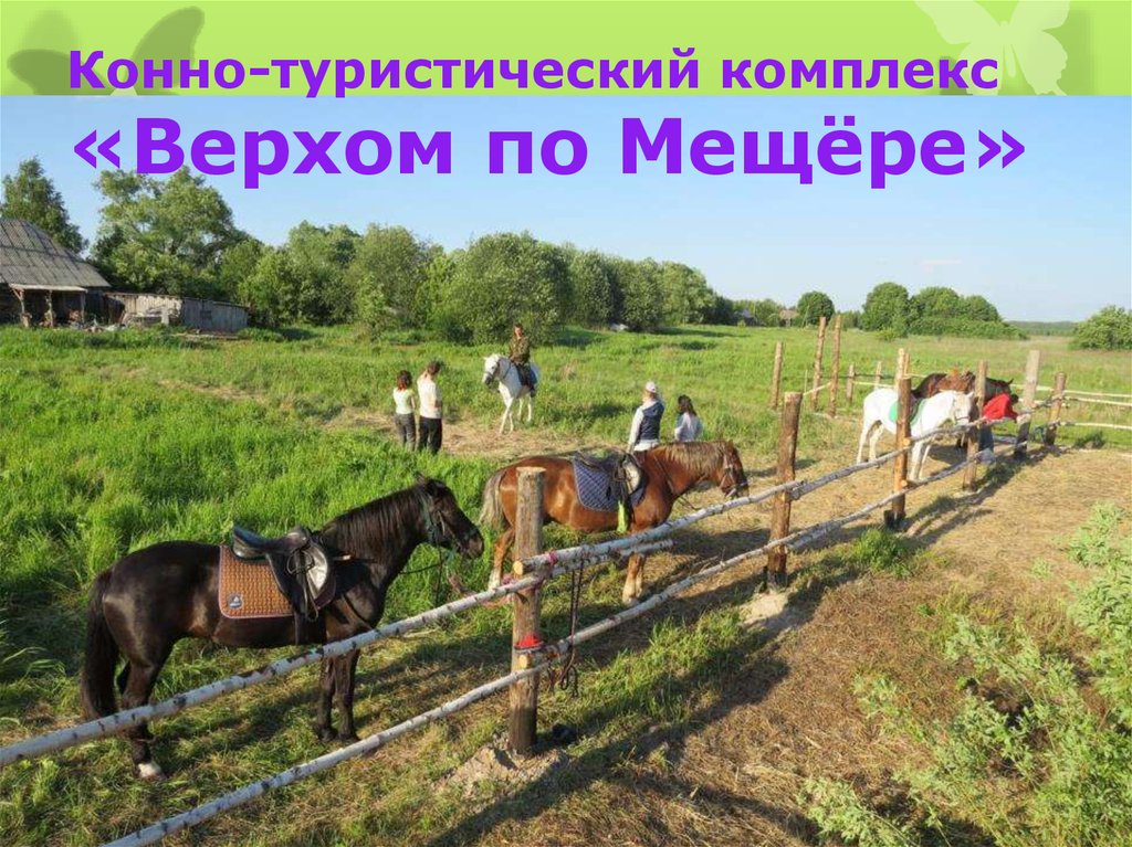 Конно-туристический комплекс «Верхом по Мещёре»