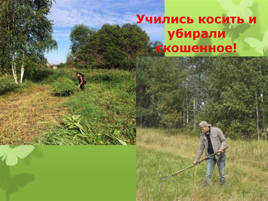 Учились косить и убирали скошенное!