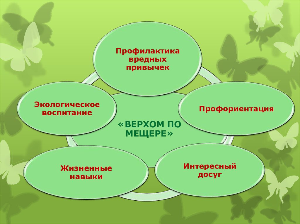 Природный проект. Социально-экологический проект. Социальный экологический проект в школе. Экологический проект среди студентов. Социально экологическая модель семьи.