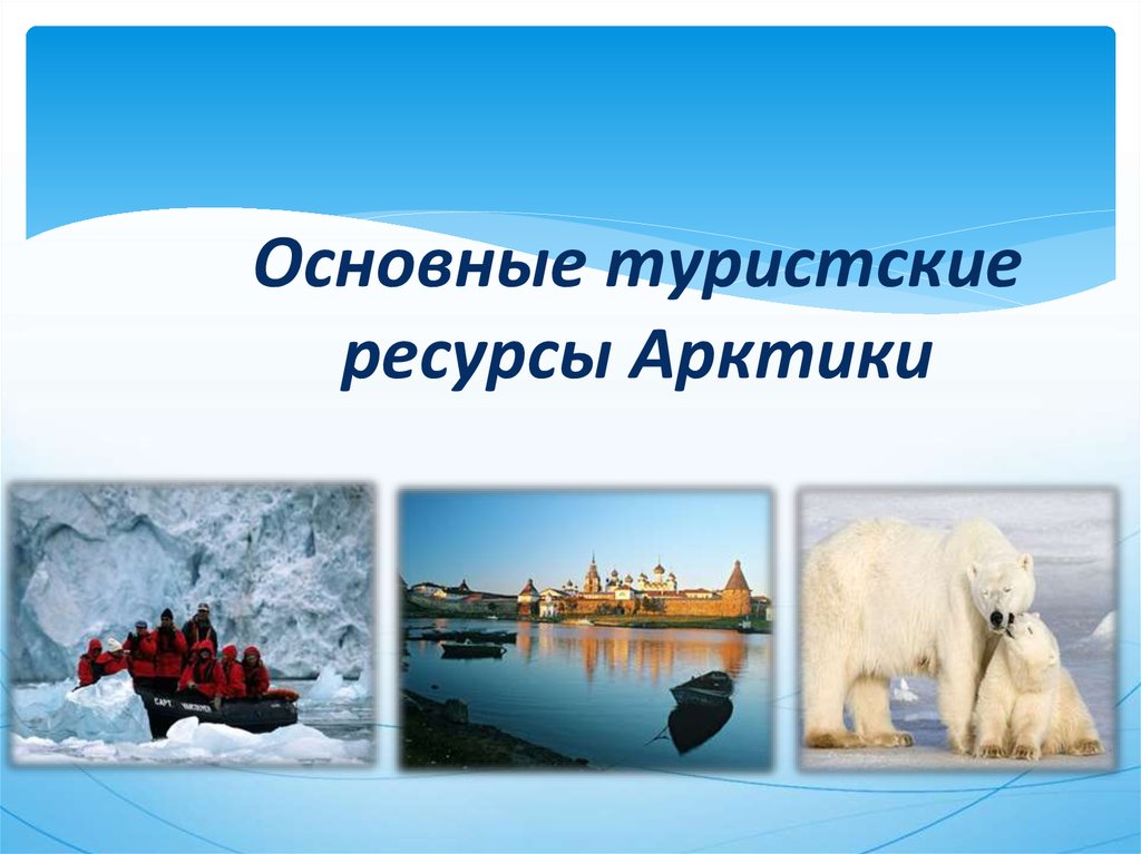 Привлекательность энергетических ресурсов арктики определяется. Ресурсы Арктики. Биологические ресурсы Арктики. Природные ресурсы Арктики. Ресурсы в арктической пустыне России.