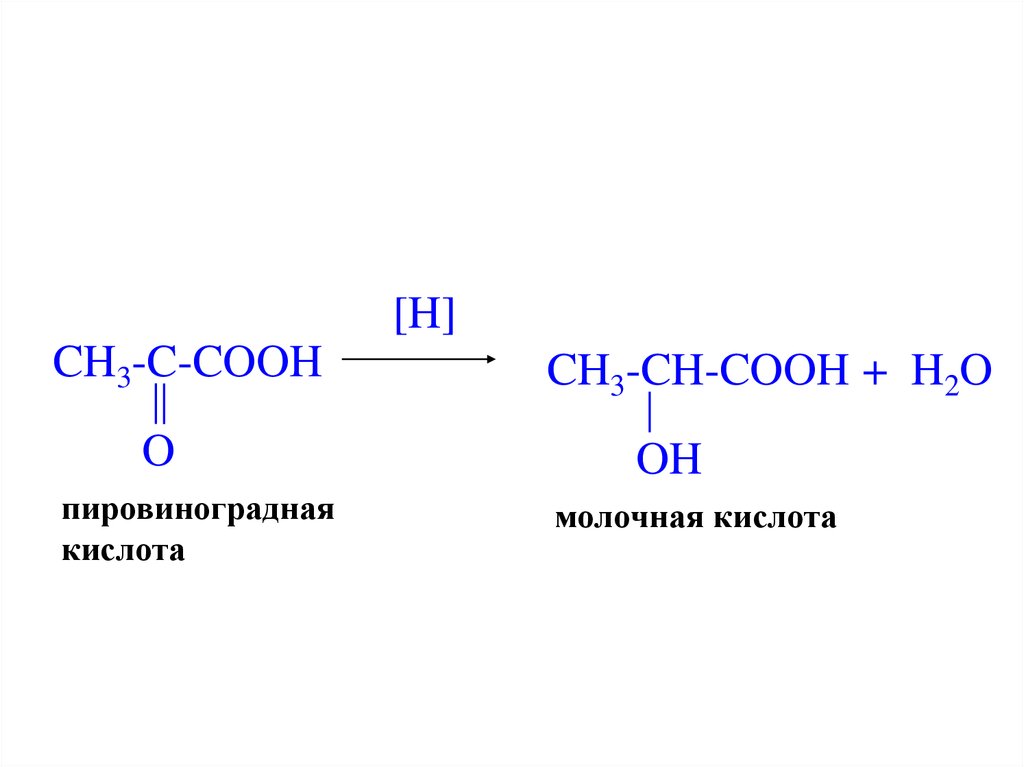 C2h5oh ch3cooh h2o. ПВК пировиноградная кислота. Пировиноградная кислота (2-оксопропановая). Пировиноградная кислота nh2oh. Оксим пировиноградной кислоты + h2.