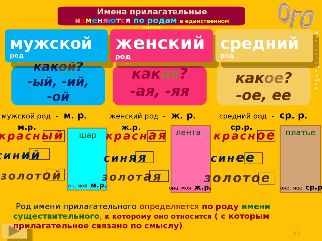 Прилагательное какой род. Платье какой род. Платье-костюм род существительного. Платье какого рода в русском. Портфолио какого рода.