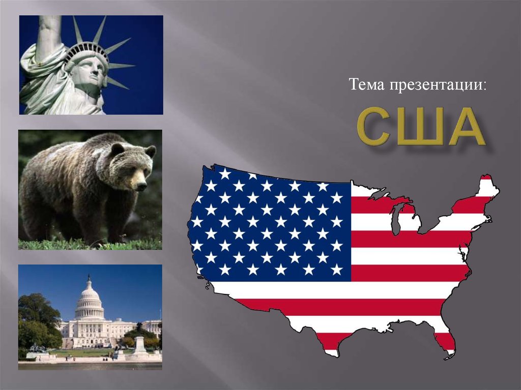 Презентация на тему the united states of america