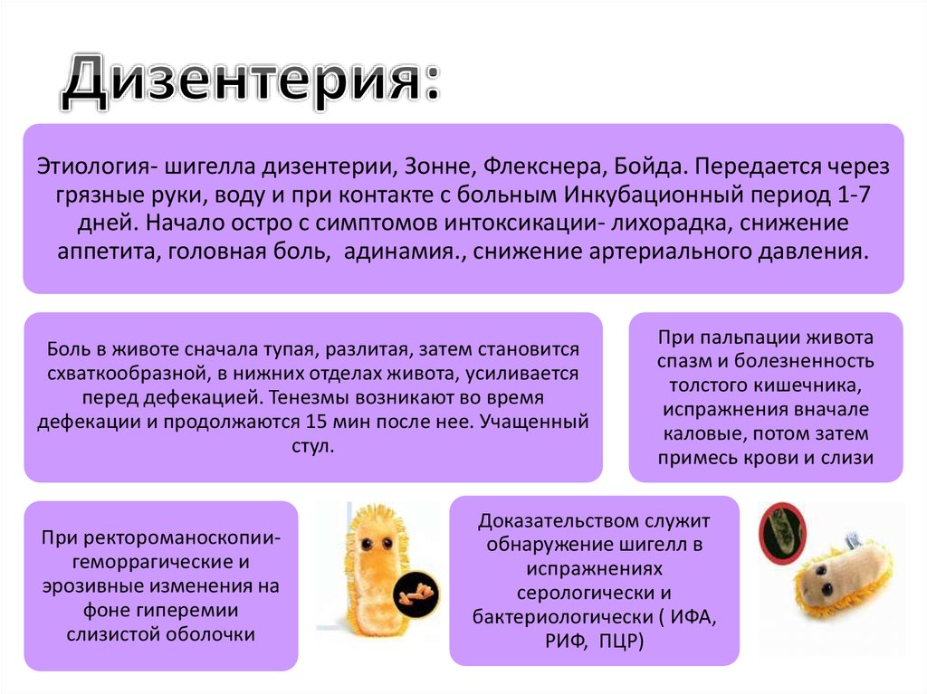 Симптомы дизентерии. Дизентерия Флекснера и Зонне. Дизентерия этиология. Дизентерия шигеллез этиология. Шигеллез Флекснера.