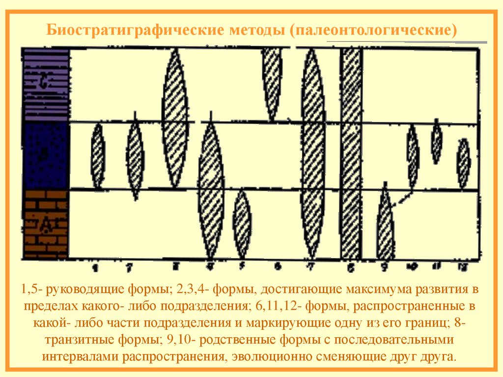 Предел развития