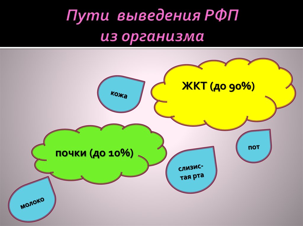 Путь вывода. Пути выведения. Пути элиминации метанола.