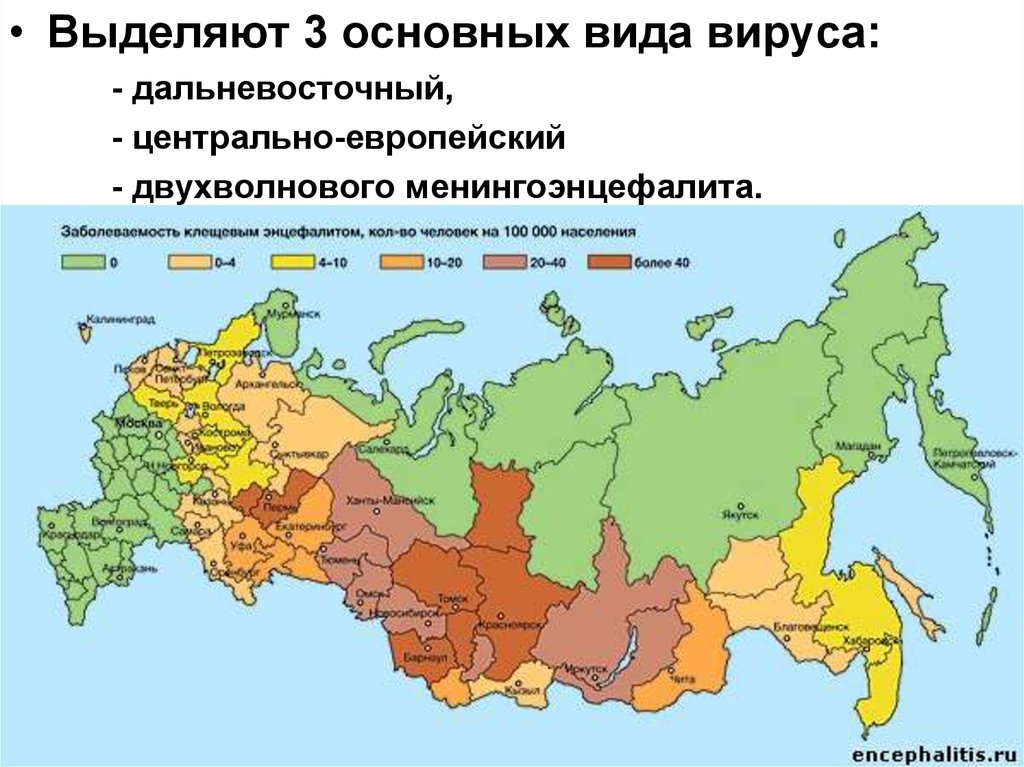 Где водятся энцефалитные клещи. Карта распространения энцефалитных клещей в России. Клещевой боррелиоз распространение в России в 2021. Энцефалитный клещ карта обитания. Карта распространения клещевого энцефалита в мире.