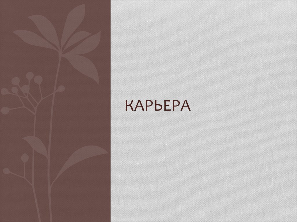 карьера