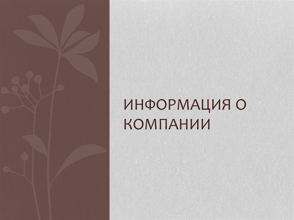 Информация о компании